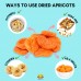 Amrita Dried Whole Apricots (1 lb.) - no sugar added - OUT OF STOCK