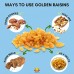 Amrita Golden Raisins (1 lb.) - no sugar added - 30% OFF!