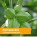 Herb Pharm Organic Ashwagandha (1 oz.) - 10% OFF!