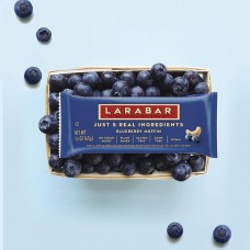 LARABAR Real Fruit & Nut Bar - Blueberry - OUT OF STOCK