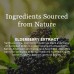 New Nordic Elderberry Vegan Gummies Immune Support BEST BY JUNE 30, 2022 - 40% OFF!