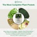 PlantFusion Complete Protein Powder - Creamy Vanilla (2 lbs.) - 35% OFF! - SOLD OUT
