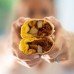 Rollin Greens Plant-Based ME'EAT Chorizo (makes 1 lb.) - Made with pea protein - 10% OFF!