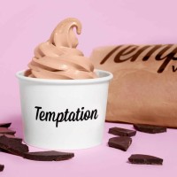 Temptation Vegan Home & Commercial Ice Cream Mix - Vanilla or Chocolate